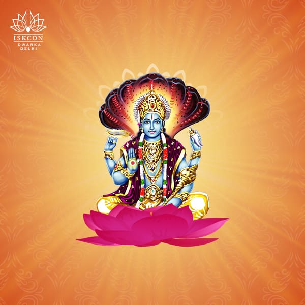 Importance of Sat-Tila Ekadashi